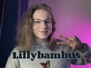 Lillybambus