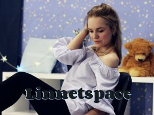 Linnetspace