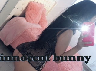 Little_innocent_bunny