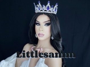 Littlesamm