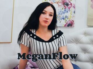 MeganFlow