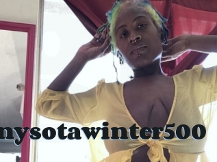 Minnysotawinter500