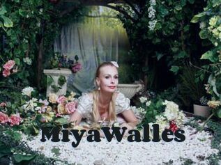 MiyaWalles