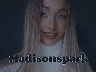 Madisonspark