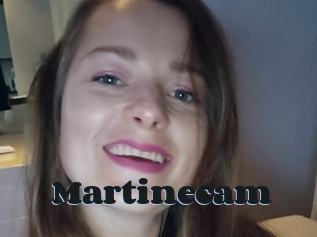 Martinecam