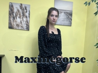 Maxinegorse