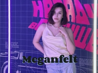 Meganfelt