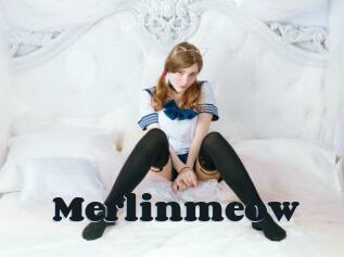 Merlinmeow