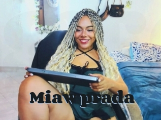 Miaw_prada