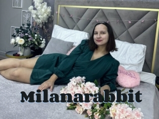 Milanarabbit