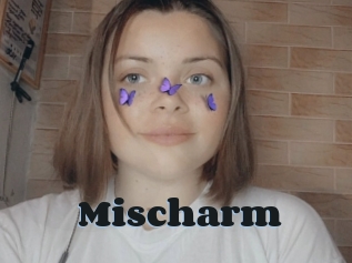 Mischarm