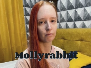 Mollyrabbit