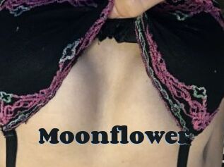 Moonflower