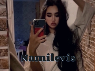 Namilevis