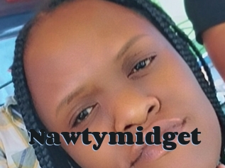 Nawtymidget