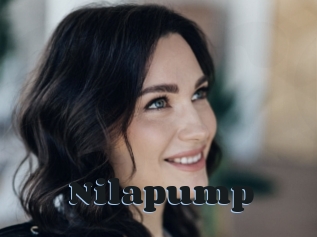 Nilapump