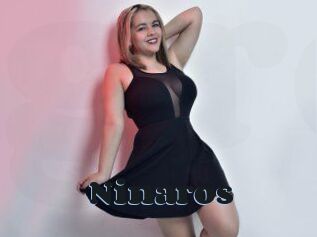 Ninaros