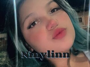 Ninylinn