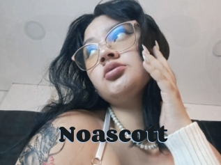 Noascott