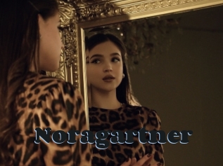 Noragartner