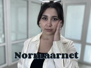 Normaarnet