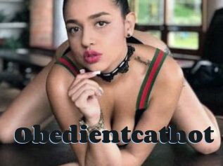 Obedientcathot