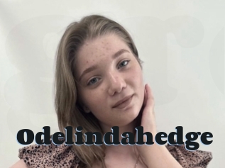 Odelindahedge