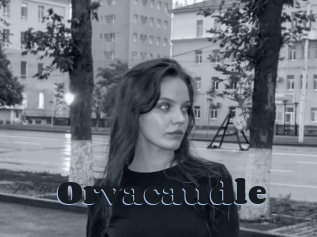 Orvacaudle