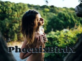 PhoenixBirdX