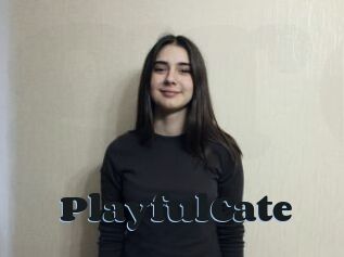 PlayfulCate