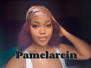 Pamelarein