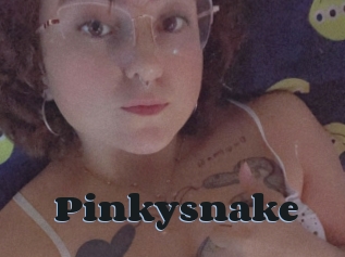 Pinkysnake