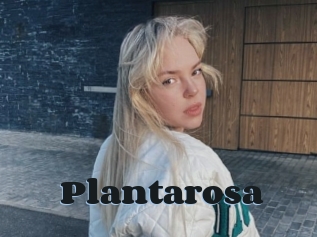 Plantarosa