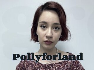 Pollyforland