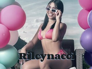 Rileynacci