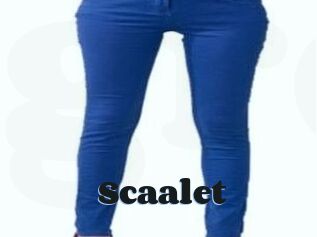 Scaalet
