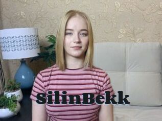 SilinBekk