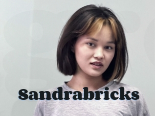 Sandrabricks