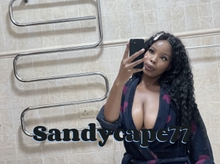 Sandycape77