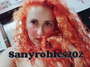 Sanyrobles202