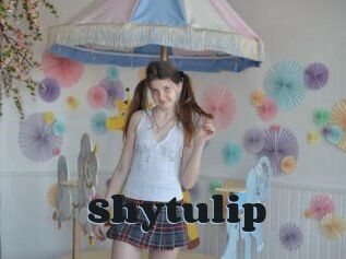 Shytulip