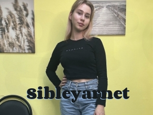 Sibleyarnet