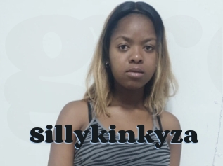 Sillykinkyza