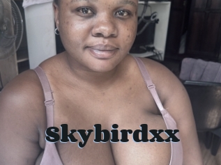 Skybirdxx