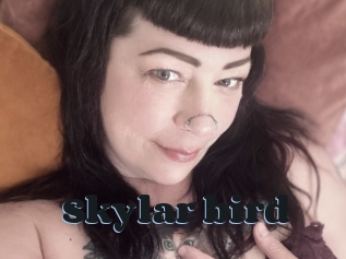 Skylar_bird