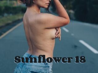 Sunflower_18