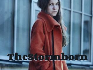 TheStormborn