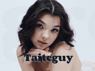 Taiteguy