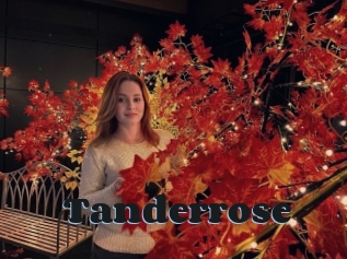 Tanderrose