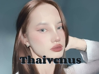 Thaivenus